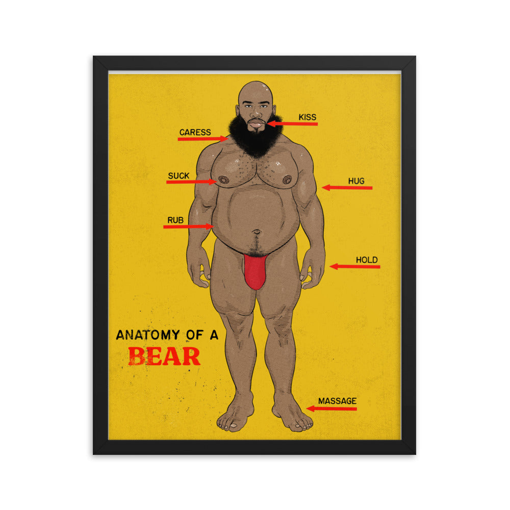 'Anatomy of a Bear' Framed poster