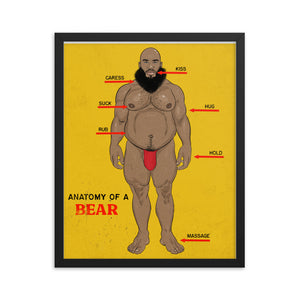 'Anatomy of a Bear' Framed poster