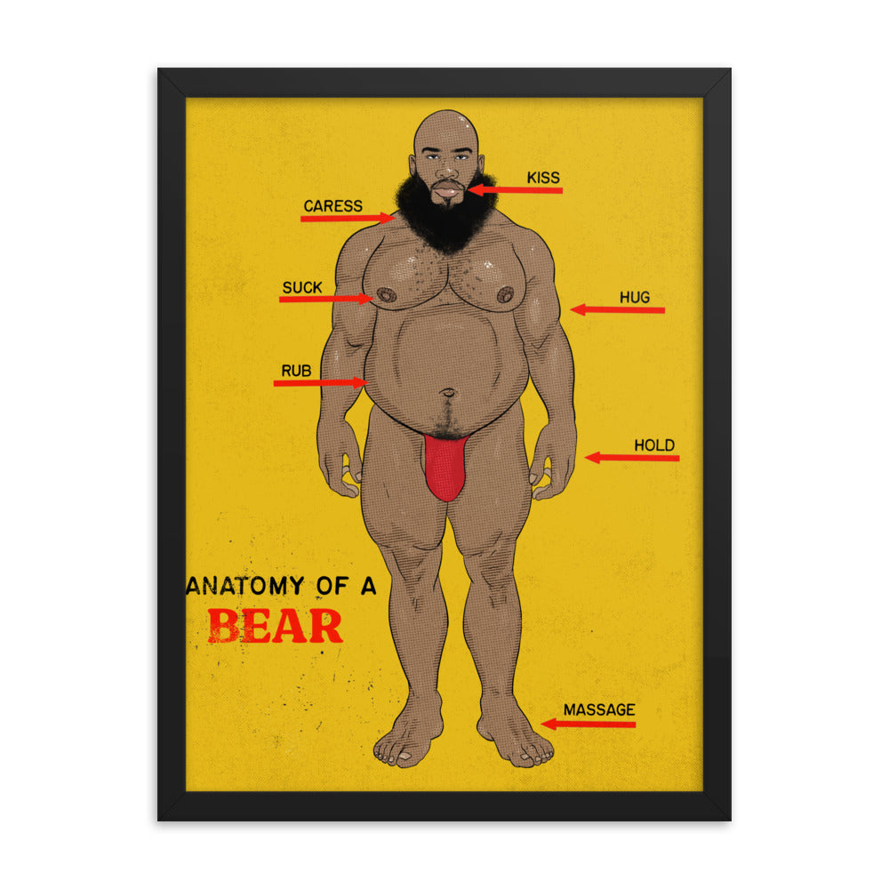 'Anatomy of a Bear' Framed poster