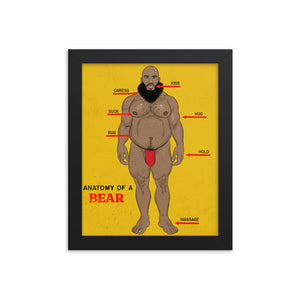 'Anatomy of a Bear' Framed poster