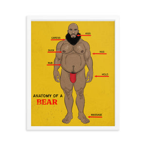 'Anatomy of a Bear' Framed poster