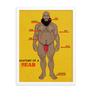 'Anatomy of a Bear' Framed poster