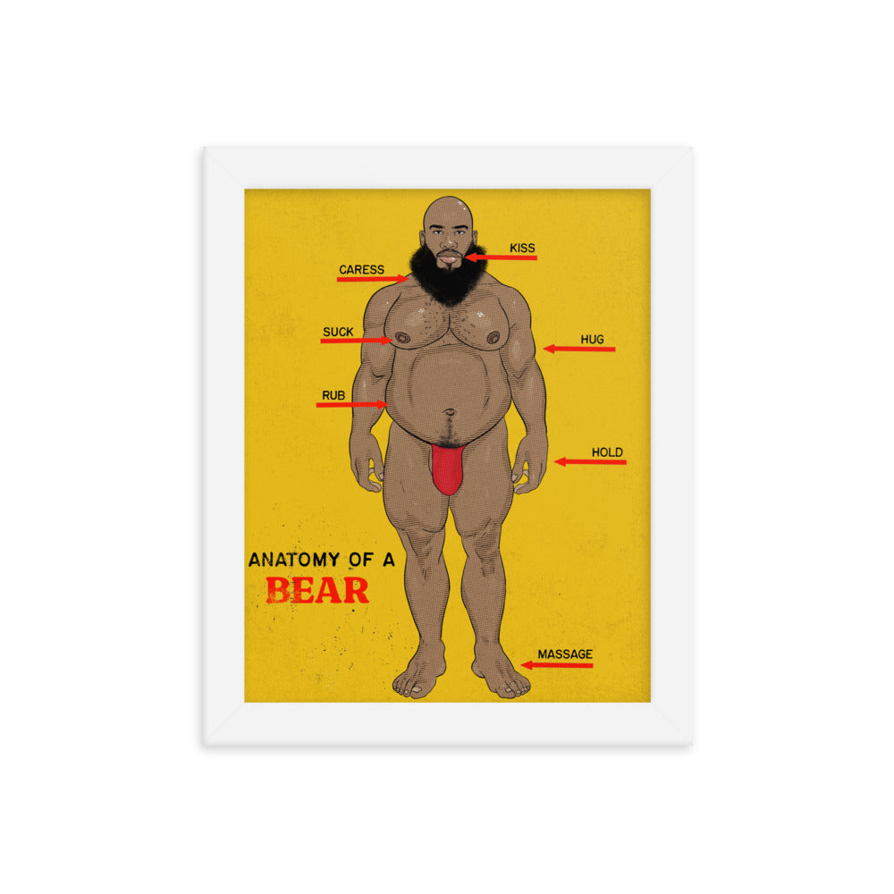 'Anatomy of a Bear' Framed poster